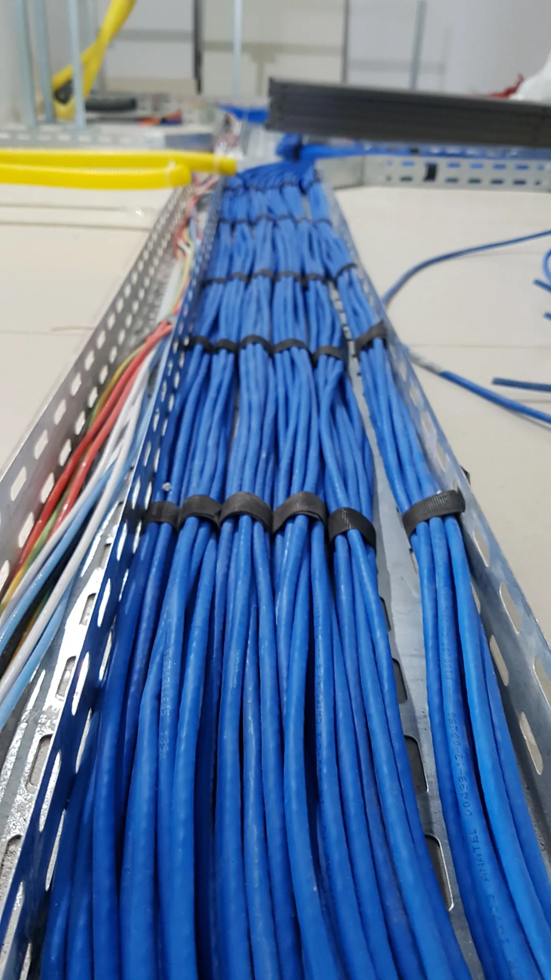 Infraestrutura de cabeamento de rede organizada em eletrocalha